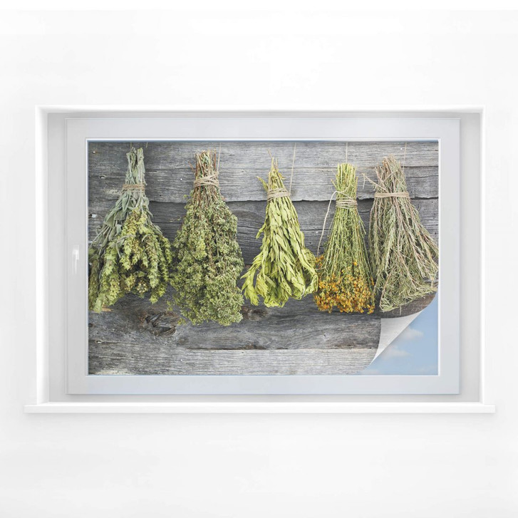 Sichtschutzfolie Getrocknete Kräuter - WA175014