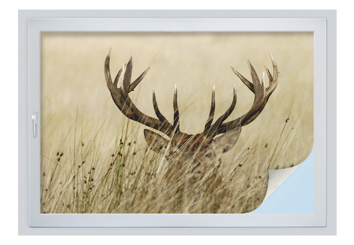 Sichtschutzfolie Wachsamer Hirsch - WA177340