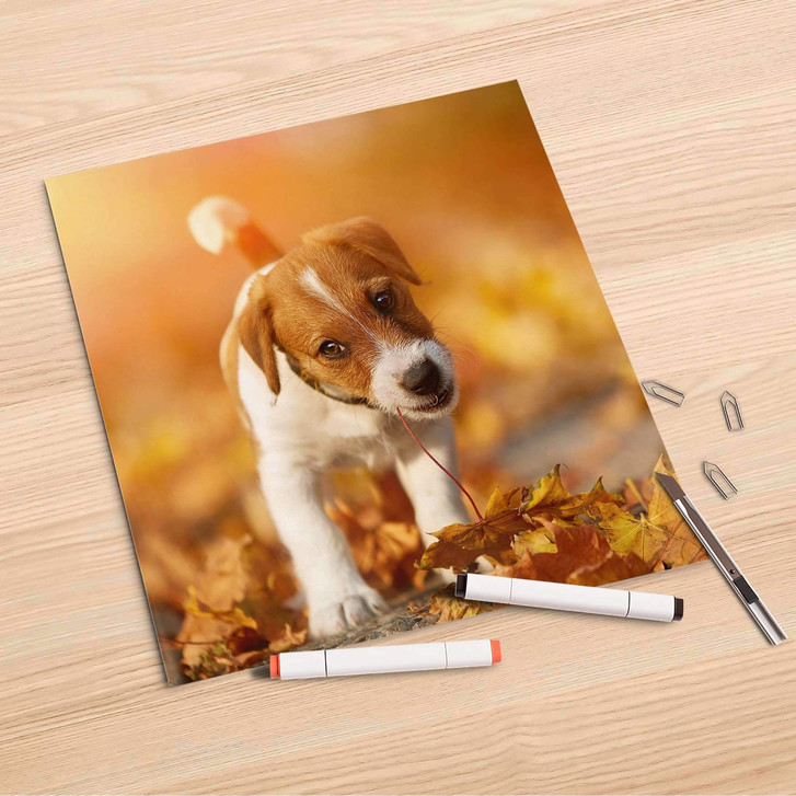 Folienbogen (30x30cm) - Jack the Puppy - CR106864