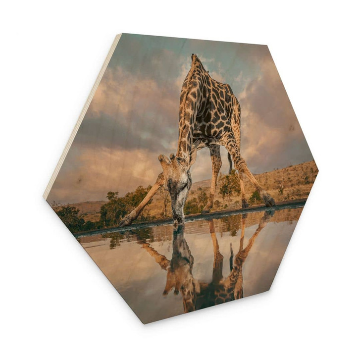 Hexagon Holzbild Reflexion einer Giraffe in der Wildnis - Amtmann - WA432410