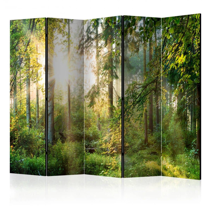 Paravent, Raumteiler freistehend, Trennwand - Hemmungsloses Abenteuer , 5-teilig - 225 x 172 cm - WA453632