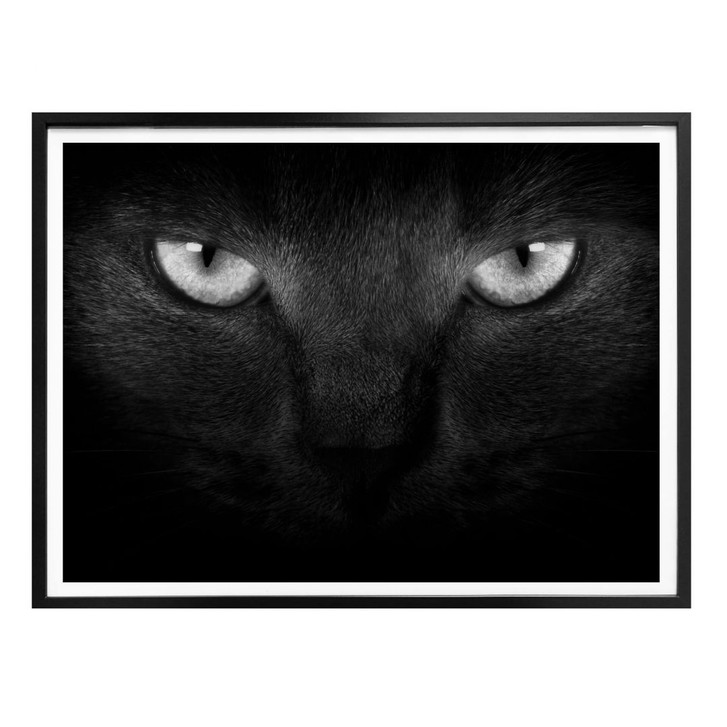 Poster Katzenaugen - schwarz/weiss - WA258282
