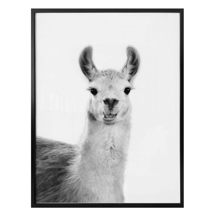 Poster Sisi & Seb - Happy Lama - WA258965