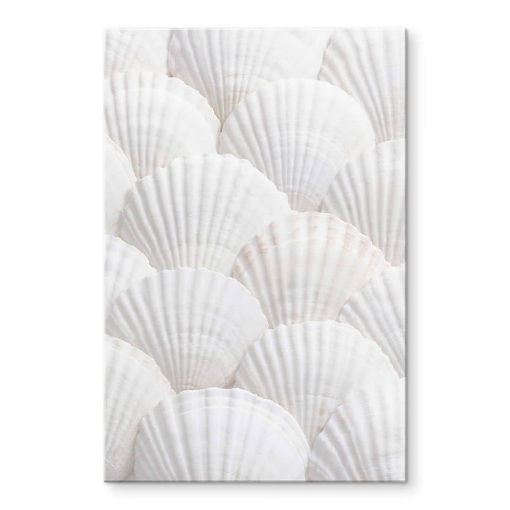 Acrylglasbild 1X Studio - Muschel Ensemble - WA340160