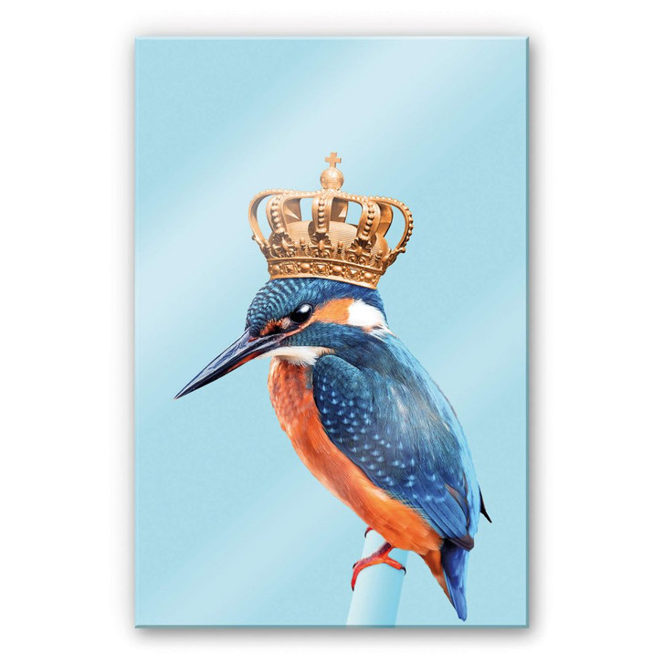 Acrylglasbild Loose - Kingfisher - WA269682