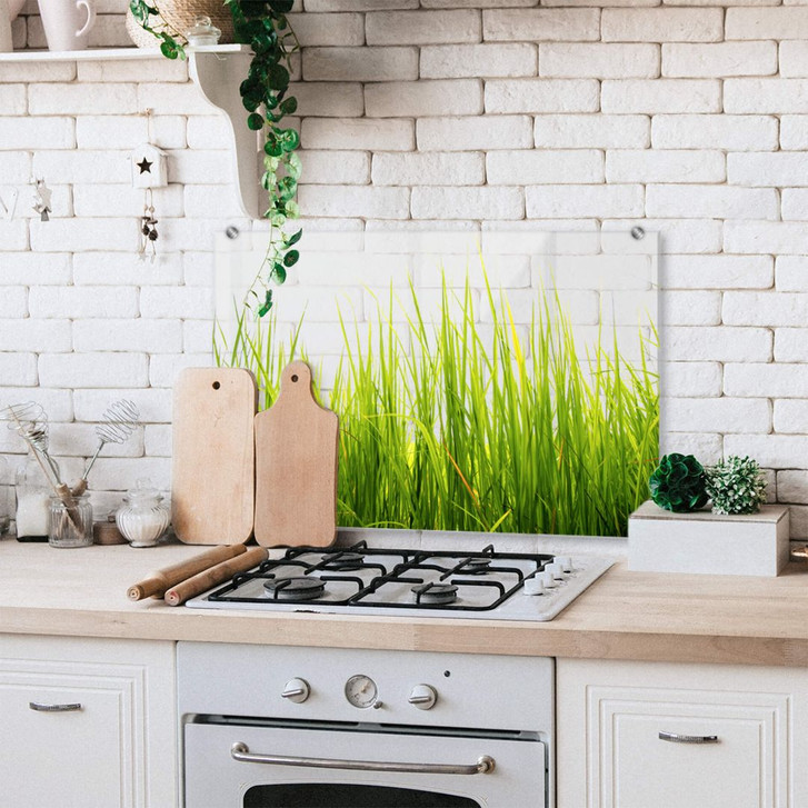 Spritzschutz Hohes Gras - Transparent - WA283545