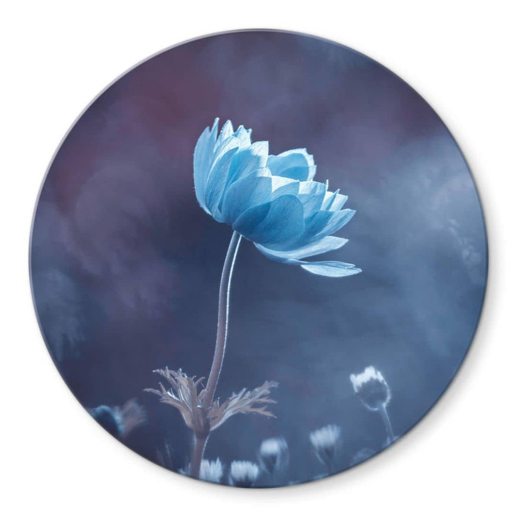 Glasbild Bravin - Die blaue Blume - Rund - WA320442