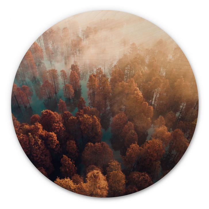 Holzbild Herbstwald im Nebel - Ioricon - Rund - WA400379
