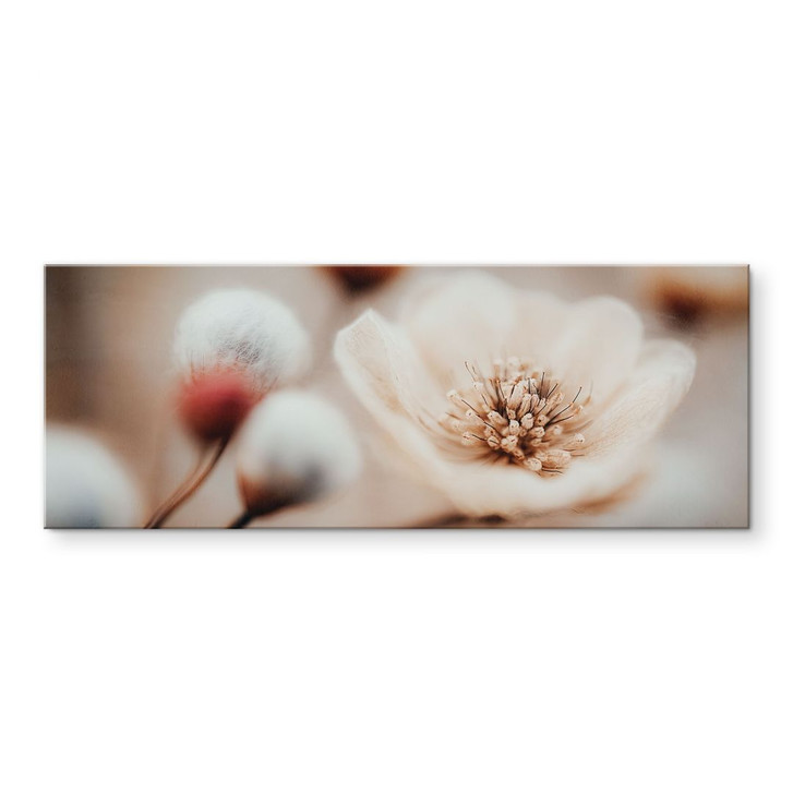Acrylglasbild Boho Blüte Soft Beige - Treechild - Panorama - WA491078