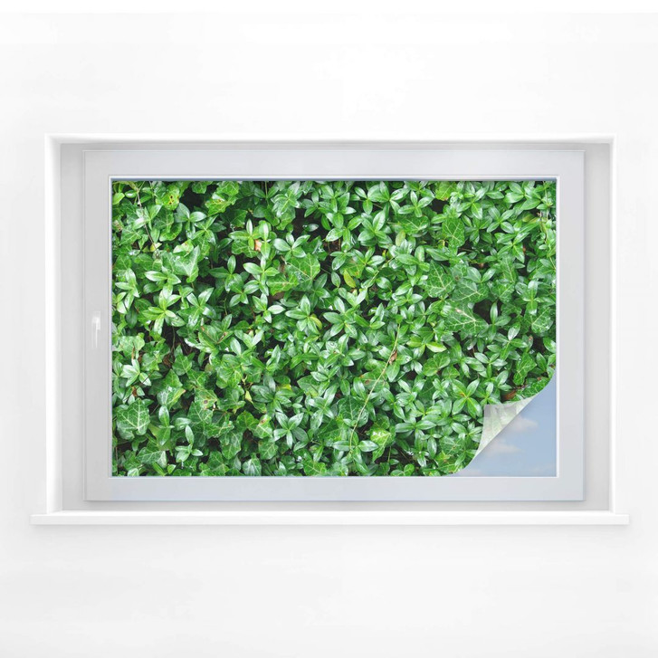 Sichtschutzfolie Der grüne Daumen - WA174652