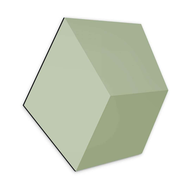 3D Hexagon - Alu-Dibond Hellgrün - WA324765