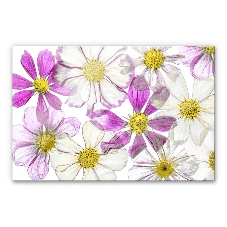 Acrylglasbild Disher - Keeping Summer - WA294426