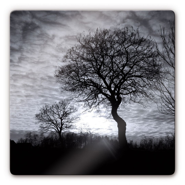 Glasbild Black and White Sunset - WA120905