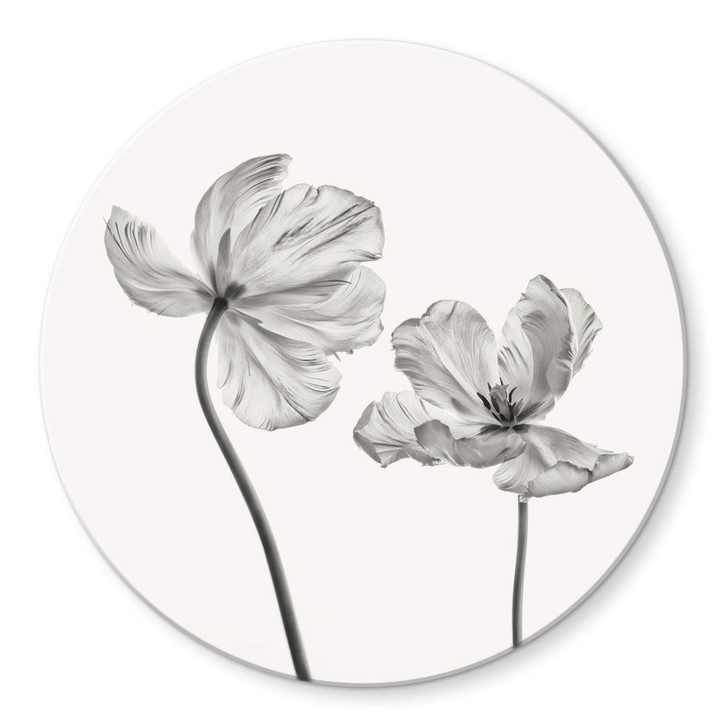 Glasbild Grønkjær - Tulpenblüte - Rund - WA295258