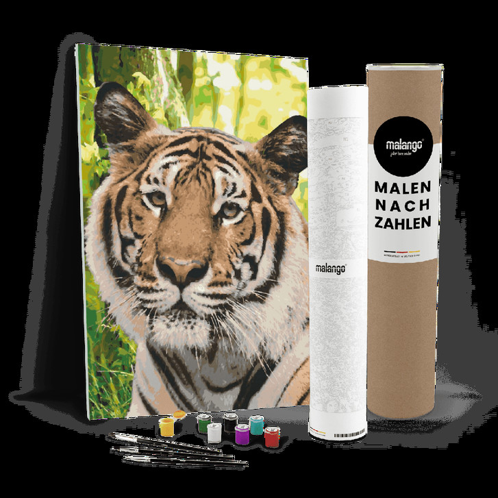 Malen nach Zahlen Leinwandbild - Tiger im Dschungel - WA446836