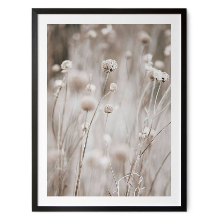 Poster Getrocknete Blüten in sanften Tönen - Annie - WA473504