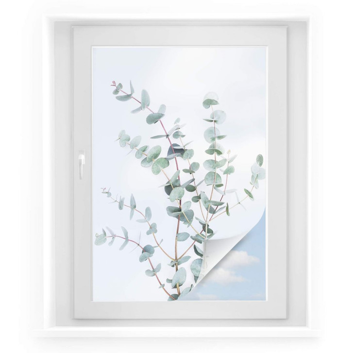 Sichtschutzfolie Sisi & Seb - Eukalyptuszweig - WA296990