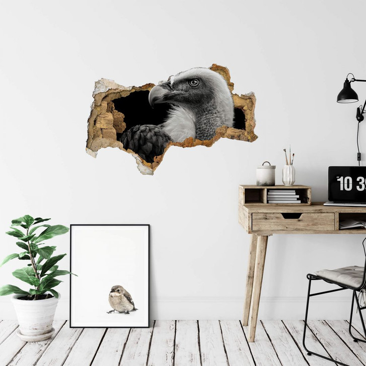 3D Wandtattoo Meermann - Geier - WA305350