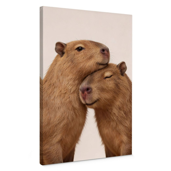Leinwandbild Kuschelndes Capybara-Pärchen - WA497192