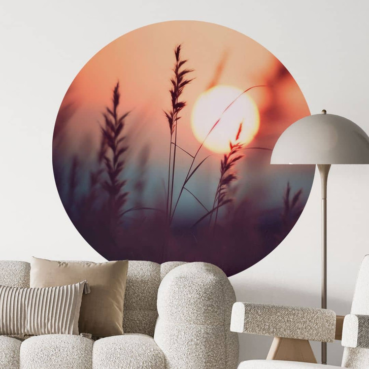 Natur Wandtattoo Gräser im Licht der glühenden Sonne - Treechild - Rund - WA474533