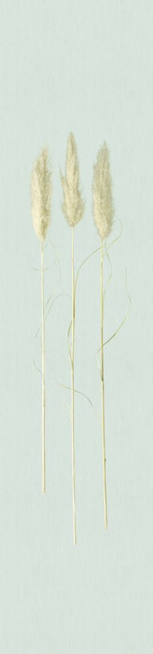 Fototapete, Vliestapete Natural Opulence Grau Grafisch 3.30 x 0.70 cm - WA448689