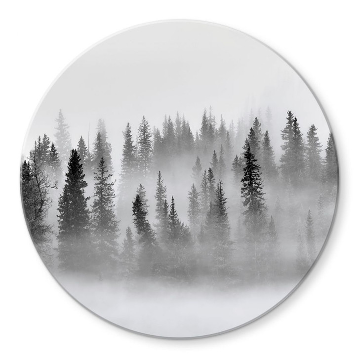 Glasbild Nebelwald in Schwarz-Weiss - Rund - Xu - WA400007