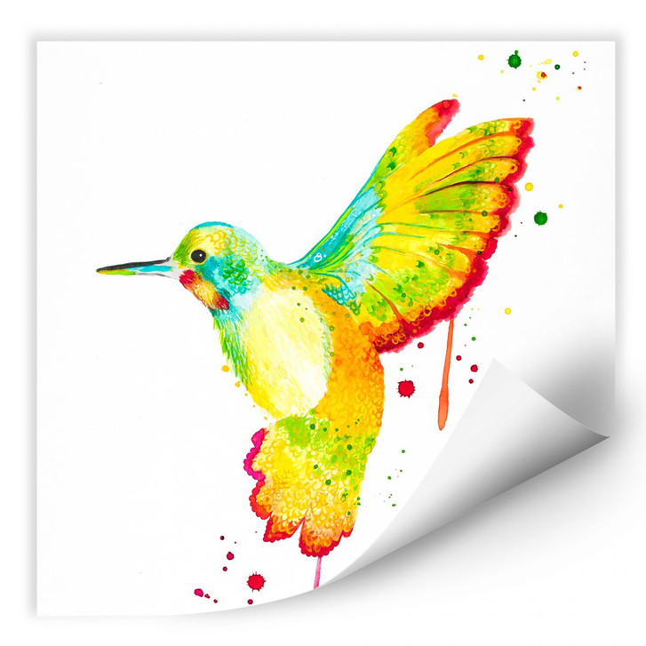 Wallprint Buttafly - Kolibri - quadratisch - WA182323