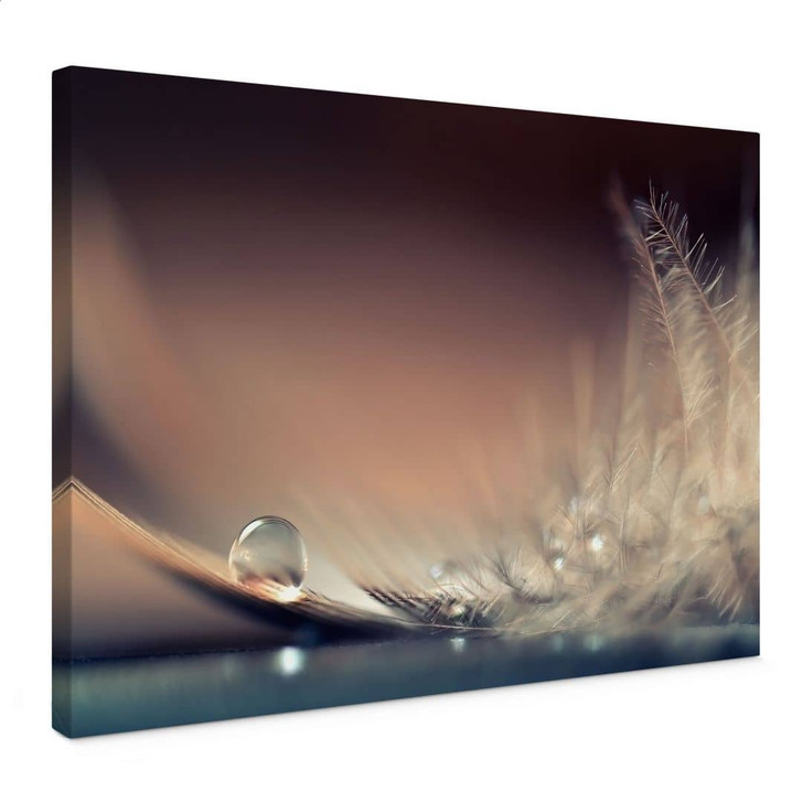 Leinwandbild Story of a Waterdrop | Feder Wandbild - Dmitry - WA472562