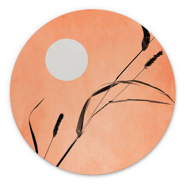 Wandbild Schilf im pfirsichfarbenen Sonnenschein - Kubistika - Alu-Dibond - Rund - WA395114