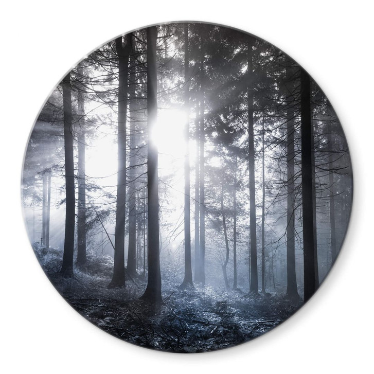Glasbild Sonnenstrahlen im Wald Blau - Rund - WA309194