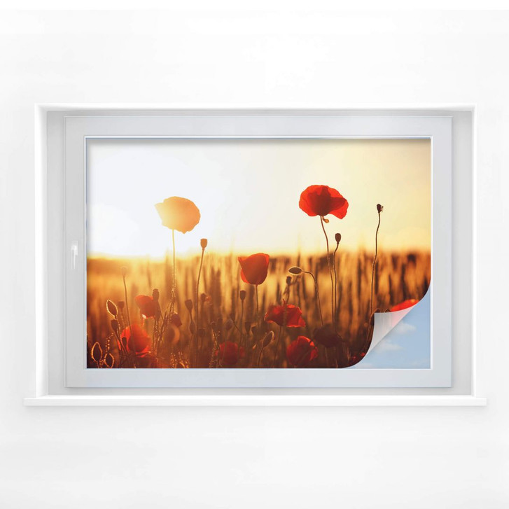 Sichtschutzfolie Sonnenflut im Mohnfeld - WA176896