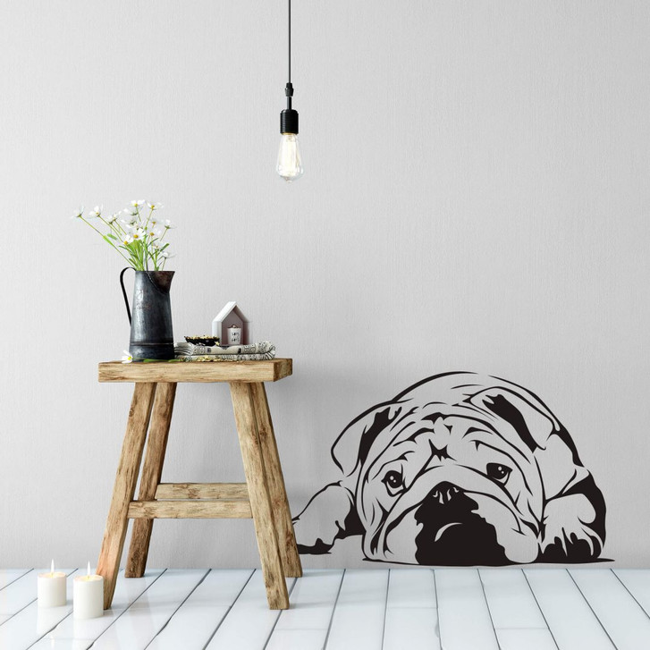 Wandtattoo Englische Bulldogge - WA209545