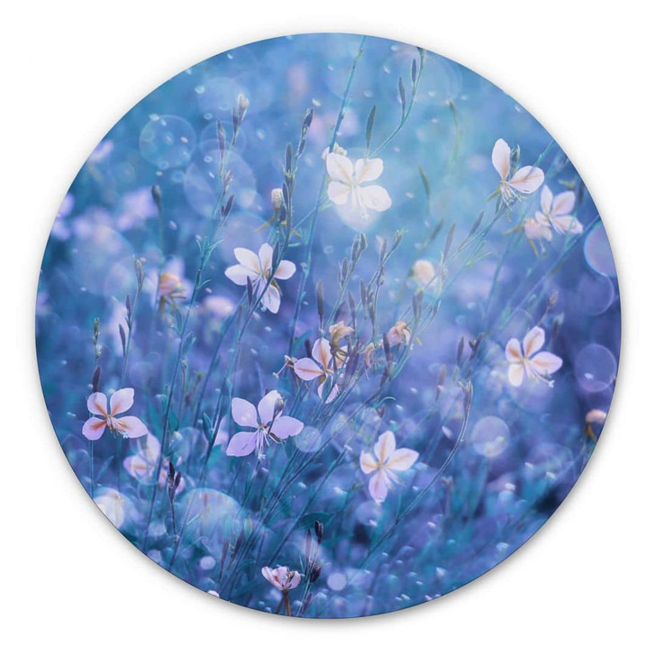 Alu-Dibond Devos - Blütenzauber - Rund - WA319769