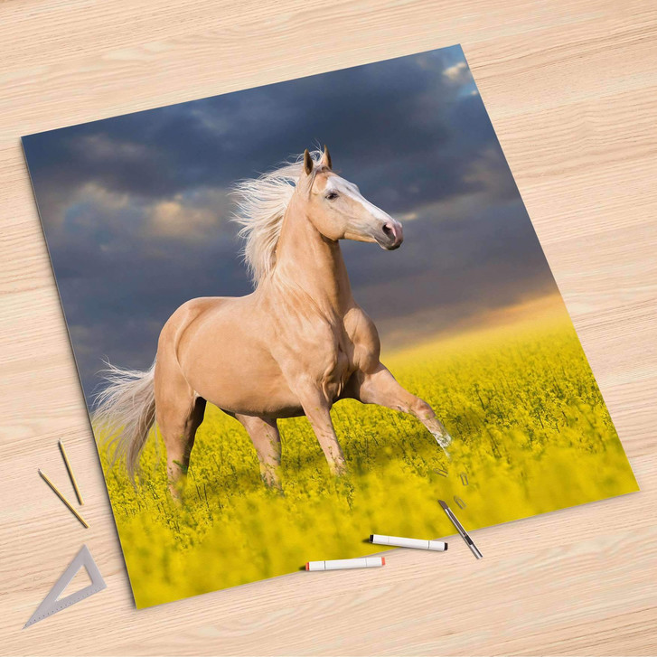 Folienbogen (90x90cm) - Wildpferd - CR107718