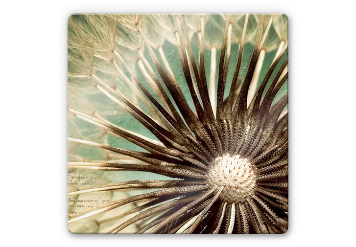 Glasbild Pusteblumen-Poesie - quadratisch - WA126918
