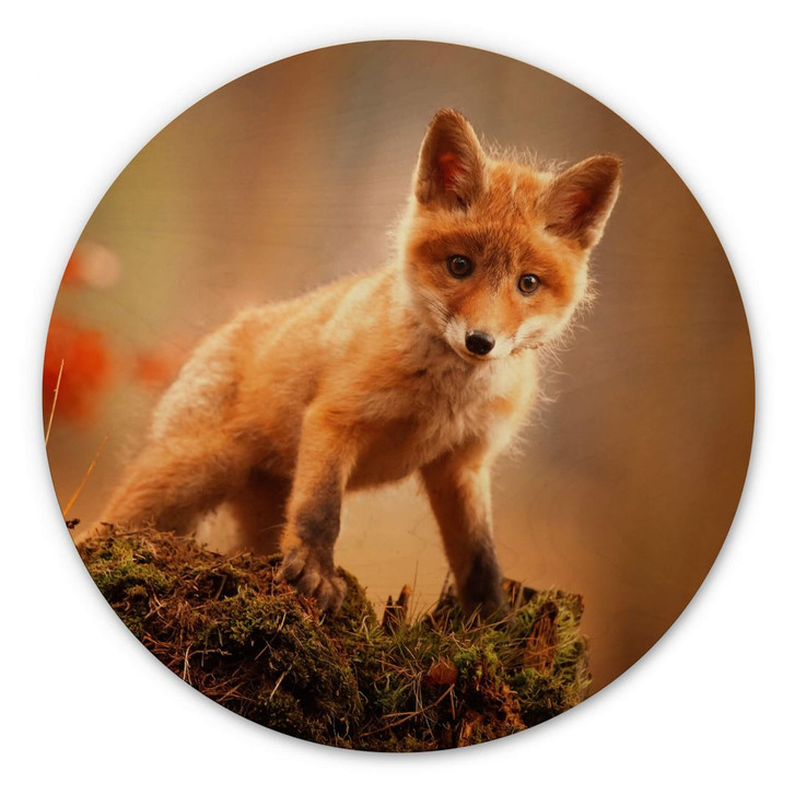Holzbild Adamec - Junger Fuchs im Wald - Rund - WA355117