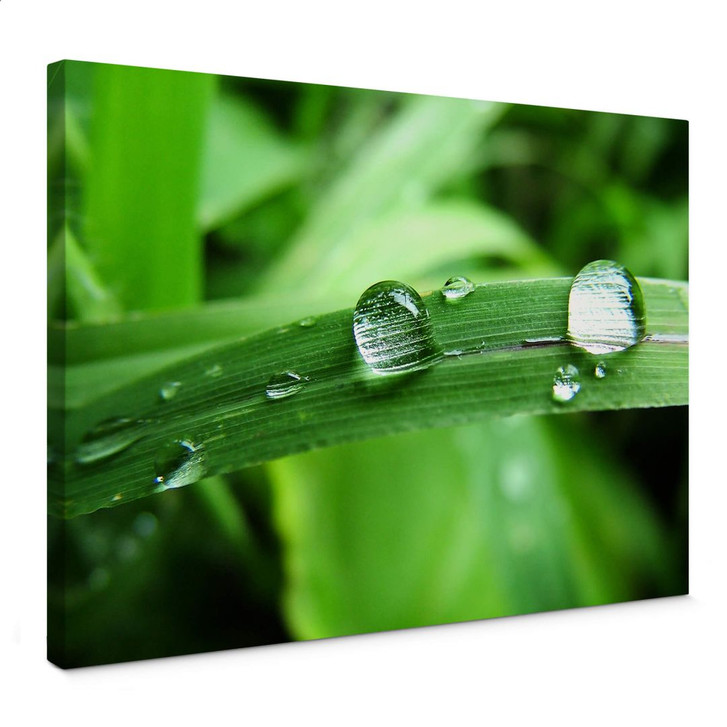Leinwandbild Natur 4 - WA371063