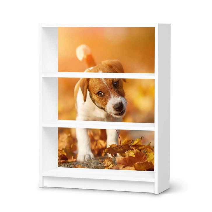 Möbelfolie IKEA Billy Regal 3 Fächer - Jack the Puppy - CR114431