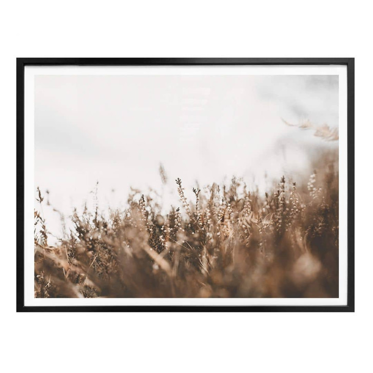 Poster Annie - Wiesengräser - WA322638