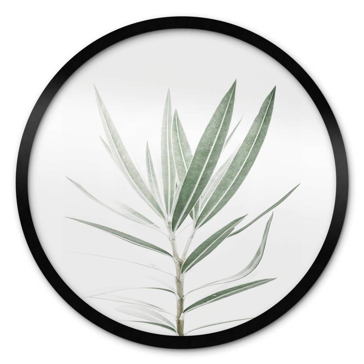 Poster Sisi & Seb - Oleander - Rund - WA338195