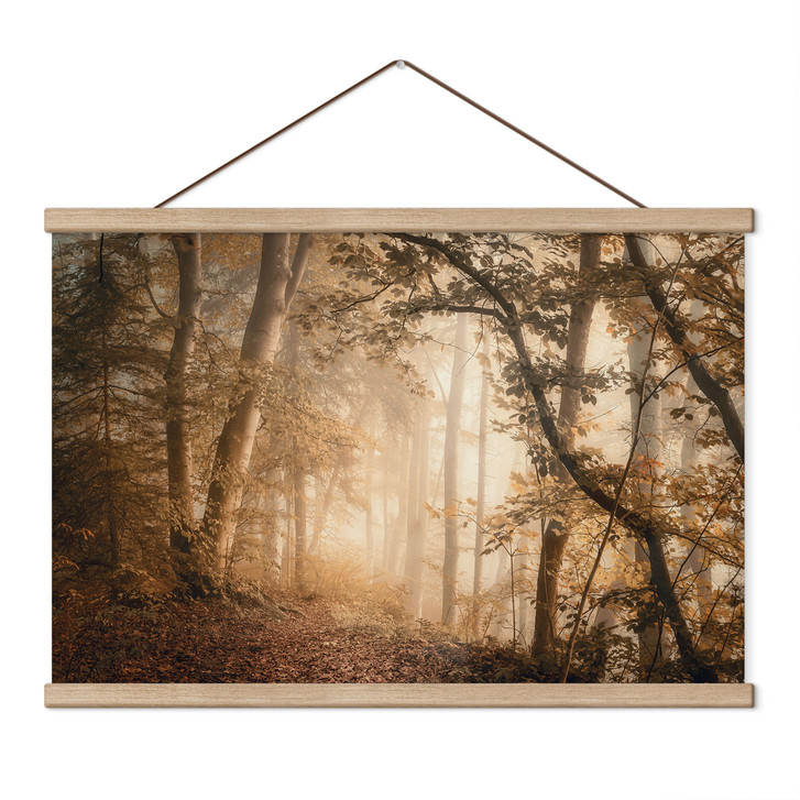 Stoffbild Wald im morgendlichen Nebel - Maier - WA519007