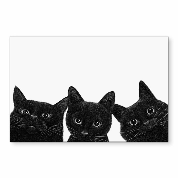 Wandbild Schwarzes Katzen Trio - Korenkova - Alu-Dibond - WA512219