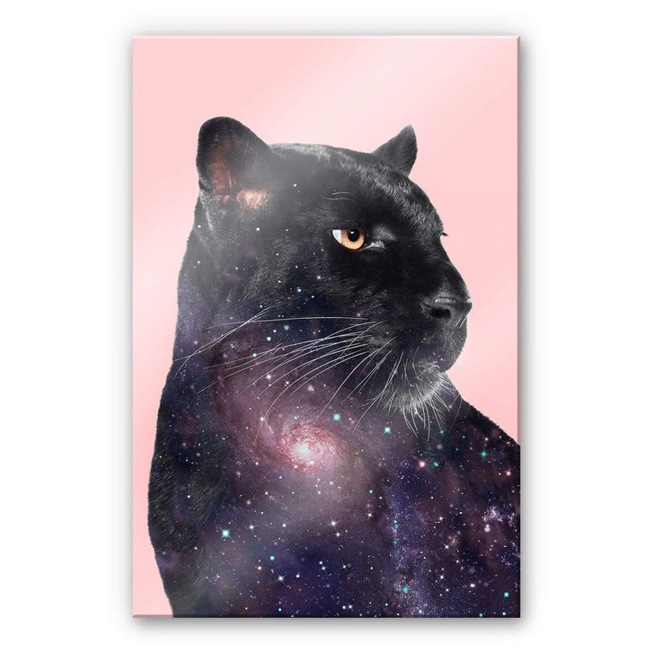 Acrylglasbild Loose – Galaxy Panther - WA269753