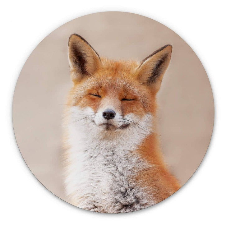 Alu-Dibond van Duijn - Zufriedener Fuchs - Rund - WA325745