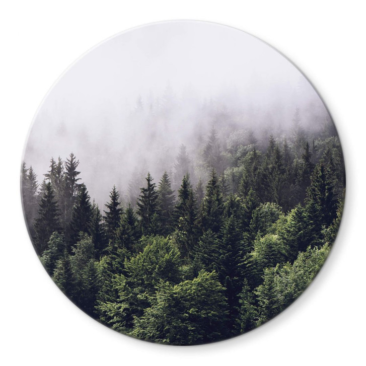 Glasbild Nebliger Wald - Rund - WA306207