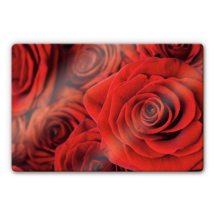 Glasbild Rose - WA127071