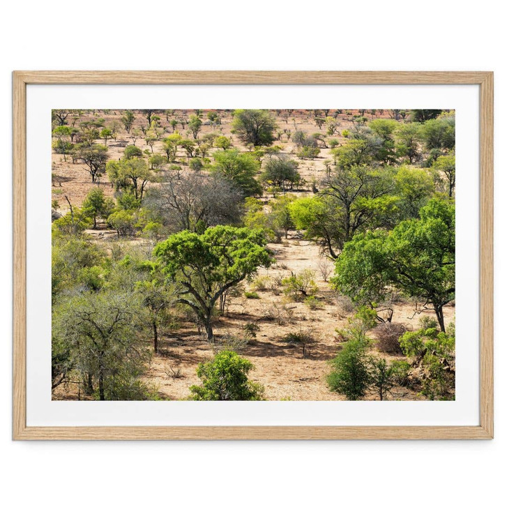 Poster Savannenlandschaft in Afrika - Hugonnard - WA473671