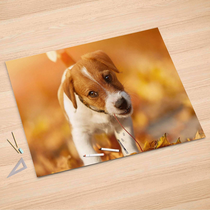 Folienbogen (150x100cm) - Jack the Puppy - CR106635
