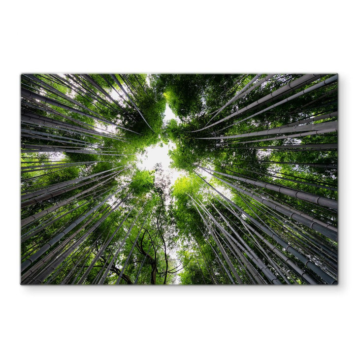 Glasbild Hugonnard - Wald in Japan - WA309097