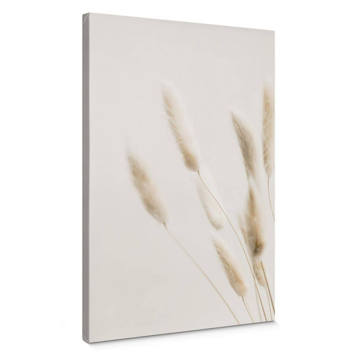 Leinwandbild 1X Studio - Zarte Gräser - WA321486